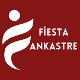 Fiesta Ankastre