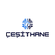 Çeşithane