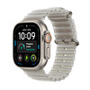 Apple Watch Ultra 4 GPS + Cellular 49mm Natürel Titanyum Kasa ve Buzlu Gri Ocean Kordon