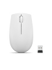 Lenovo 300 Wireless Compact Bulut Gri Mouse 