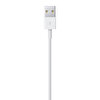 Apple MXLY2ZM/A Apple Lightning  USB Kablosu 1M