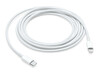 APPLE MW2R3ZM/A  USB-C - LIGHTNING KABLOSU 2M (OUTLET)