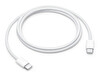 APPLE MW493ZM/A 60W USB-C ŞARJ KABLOSU 1 (OUTLET)