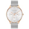 Calvin Klein Ck25200106 Kadın Kol Saati