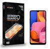 Dafoni Samsung Galaxy A20S Tempered Glass Premium Cam Ekran Koruyucu