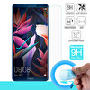 Microsonic Huawei Mate 10 Pro Nano Cam Ekran Koruyucu Kırılmaz Film