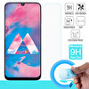 Microsonic Samsung Galaxy M30 Nano Cam Ekran Koruyucu