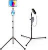 Ugreen 15645 LP585 Profesyonel Yer Tipi Mikrofon ve Telefon Tablet Ayarlanabilir Tripod Stant