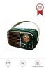 Torima BTS-1956 Yeşil Bluetooth 10W Bass Ses RGB Işık Efektli TWS USB TF Kart Mikrofonlu Hoparlör