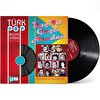 Türk Pop Müzik Tarihi 1960-70'lı Yıllar - LP Vol.2 Plak