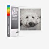 Polaroid B&W For 600 8'li Film