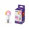 Wiz 100W Renkli Ambiyans E27 Akıllı Ampul A67