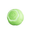 Neutron Akıllı Kendinden Hareketli Yeşil Kedi Topu