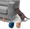 Shed Pal Yapıştırılabilir Kedi Tırmalama Matı