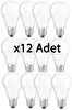 EcoLink 13W E27 Led Ampul 6500K Beyaz Işık - 12 Adet