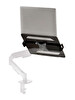 Pivot 14-17.3" Laptop Tutucu Stand Vesa Uyumlu Monitör Kolu Aparatı Siyah