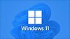 Microsoft OEM FQC-10556 Windows 11 Pro 64 Bit Türkçe İşletim Sistemi