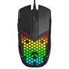Everest SM-GX19 Angard 7200dpi RGB Gaming Siyah Usb Optik Örgü Kablolu Mouse