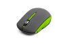 Green GM103W Optik Kablosuz Mouse Siyah-Yeşil