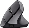 Trust Bayo Siyah Ergonomik Kablosuz Mouse