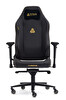 Titanseat Throne Leather Gold Oyuncu Koltuğu