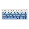 Aula F75 Leobog Reaper Switch RGB Kablosuz Hotswap Mavi Mekanik Gaming Klavye