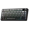 Aula F75 Max Mekanik RGB TKL Reaper Switch Kablosuz Makrolu Hot Swap Gri Oyuncu Klavyesi