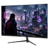 GameBooster Lyris FF30 27" 300Hz 0.5ms HDMI DP Adaptive Sync FHD VA Curved 3000R Oyuncu Monitörü