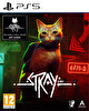 Stray Playstation 5 Oyun