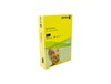 Xerox 3R93975 A4 Symphony Sarı 80 GR