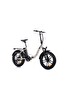 Ola EFB4 Magnezyum Jant Katlanabilir Elektrikli Bisiklet