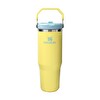 Stanley 10-12043-074 The IceFlow Flip Straw 2.0 Tumbler 0.89 L Termos