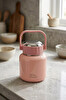 Cooker Leopar 900 ML Kaşıklı Yemek Termosu Pembe YK1517