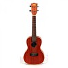 Kala Maun EQ Concert Ukulele
