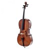 Stentor II 4/4 Çello (Satin Finish)