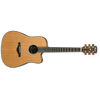 Ibanez AW3050CE-LG Elektro Akustik Gitar