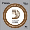 D'Addario PB042 Akustik Tek Tel