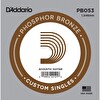 D'Addario PB053 Phosphor Bronze Wound Akustik Tek Tel