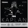 D'Addario KV313 Kaplan Vivo 4/4 Keman Teli