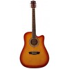 Washburn WA90CETS Elektro Akustik Gitar