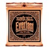 Ernie Ball P02548 Everlast Akustik Gitar Teli (Light)