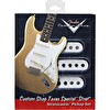 Fender Custom Shop Texas Special Strat 3 Manyetik