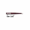 Vic Firth Dwn Baget