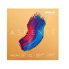 D'Addario A310 4/4M Ascente 4/4 Keman Teli