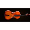 Valencia CE400F44 Cello French Style 4-4