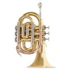 Roy Benson PT-302 Bb Trompet
