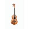 Puka PK102C Taşıma Çantası Hediyeli Konser Boy Ukulele