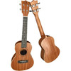Puka PK-200 Concert Ukulele (Kılıf - Pena)