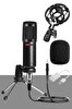 Lastvoice BM800 Full Black Kondenser Youtuber Mikrofon + 7.1