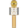 Winex USB-A+TF SD Kart+3.5 MM Aux Girişli Bluetooth Gold Karaoke Mikrofonu